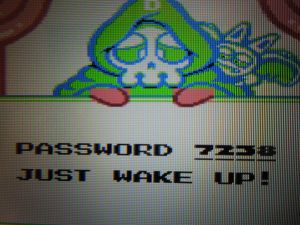 A 4-digit password allows you the luxury of not having to beat the game in one sitting.