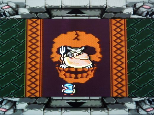 After finding 8 pieces of the Triforce, you'll fight Ganon and attempt to rescue Princess Zelda.