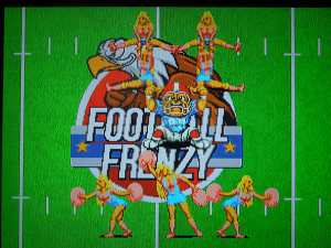 Half-time shows feature cheerleaders and either a bulldog or alligator mascot - neither of which belong to any team in the game.