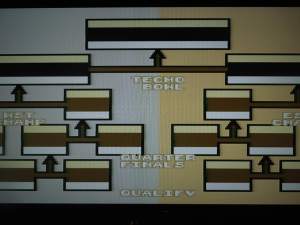 12 of the 30 teams will qualify for the Playoff at the end of the regular season. 