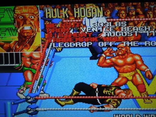 Choose from 10 WWF wrestlers from the 1990s. 