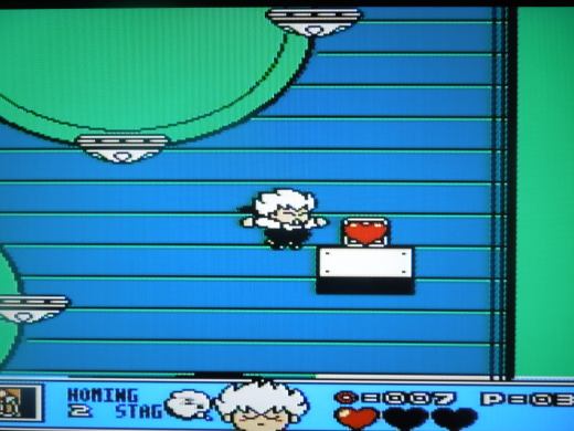 Heart Containers can be found throughout the game's 9 levels.