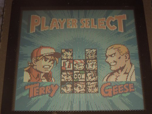 11 characters are selectable, including 2 'secret' characters. 