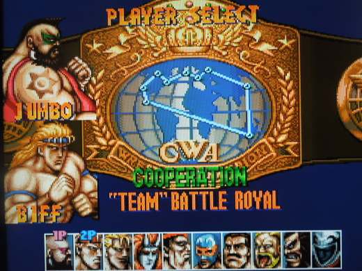 10 fictional wrestlers (8 in Single Match Mode) are available in Slam Masters.
